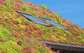 Wendover Dean living roof systems